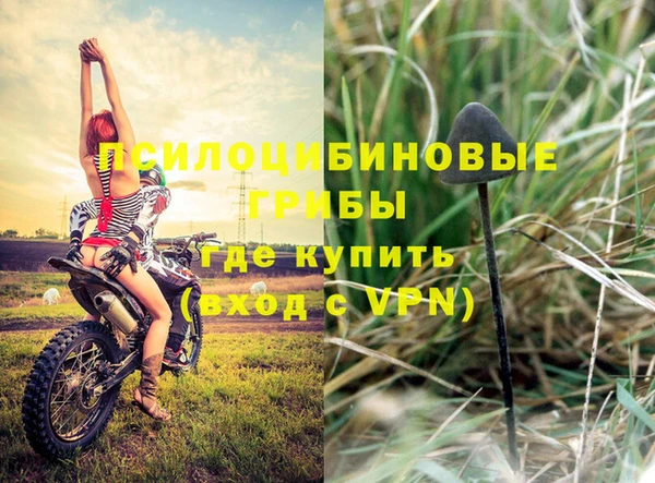 прущие грибы Алексеевка